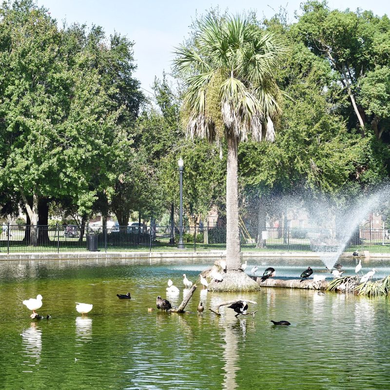 Riverside, Florida computer repair: Riverside Park